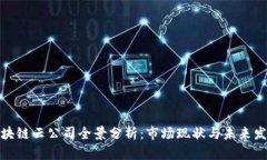湖北区块链云公司全景分析：市场现状与未来发